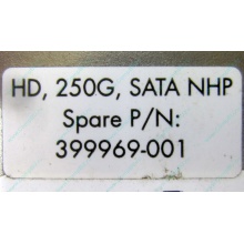 HP 250G 7.2k 432337-001/ 399699-001 / 397377-004 SATA HDD (Красногорск)