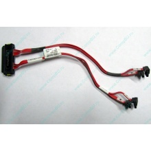 SATA-кабель для корзины HDD HP 451782-001 459190-001 для HP ML310 G5 (Красногорск)