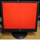 Монитор 19" ViewSonic VA903b (1280x1024) есть битые пиксели (Красногорск)