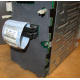 HP 365664-001 кабель SCSI для корзины 373108-001 / 359719-001 HP ML370G4 (Красногорск)