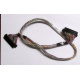 Intel 6017B0045301 в Красногорске, 68 pin SCSI кабель 26.5" / 57см для корзины HDD корпуса SR2400 (Красногорск)