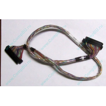 6017B0045301 в Красногорске, 68pin SCSI кабель 26.5" / 57cm для корзины HDD Intel SR2400 (Красногорск)