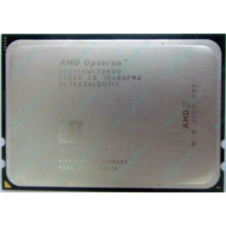 AMD Opteron 6128 OS6128WKT8EGO (Красногорск)